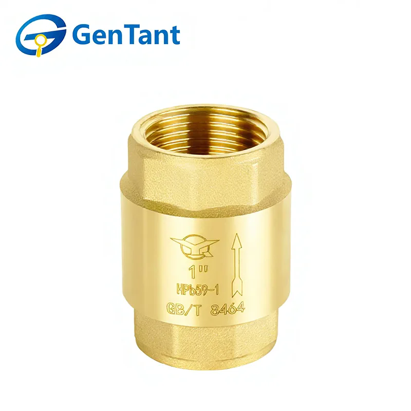 스프링 체크 밸브는 어떻게 시스템 효율성을 향상합니까?