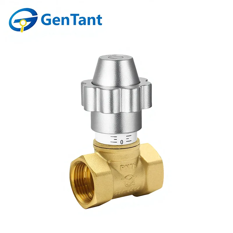 자기 잠금식 유량 제어 글로브 밸브